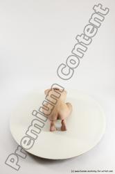 Human Anatomy poses - Alexej